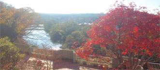 仙台市民会館から見た広瀬川の紅葉写真